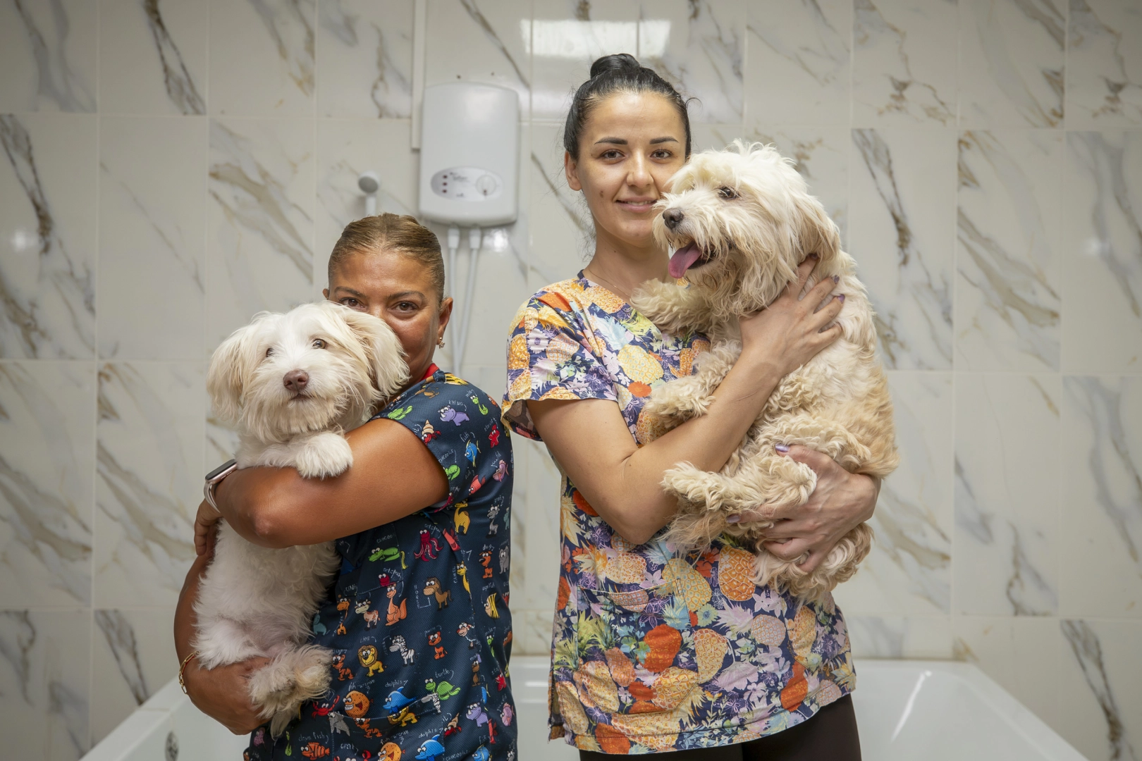 Mersin&rsquo;de bakımevi k&ouml;peklerine g&ouml;n&uuml;ll&uuml; bakım desteği