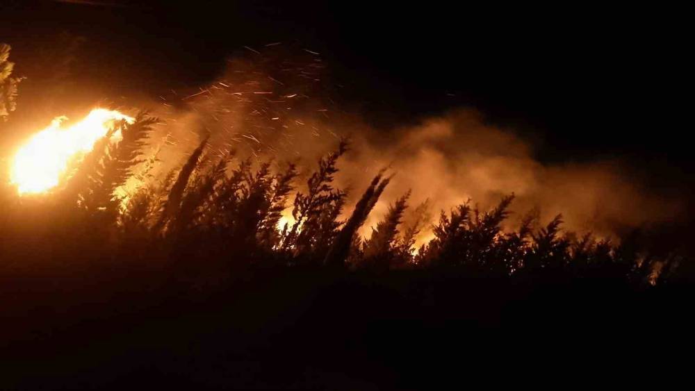 Urla’daki orman yangını kontrol altına alındı