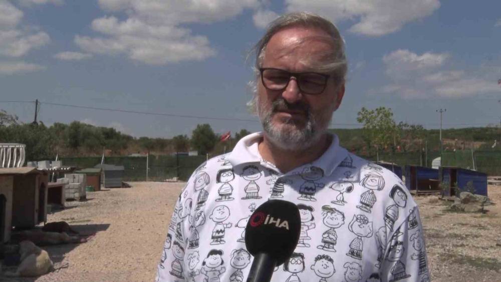 Birka&ccedil; k&ouml;pekle başladı, bin 200 cana yuva oldu
