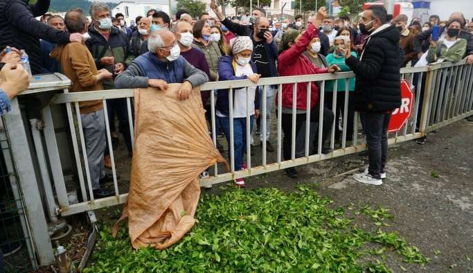 Çay üreticilerinin protestosuna polisten sert müdahale