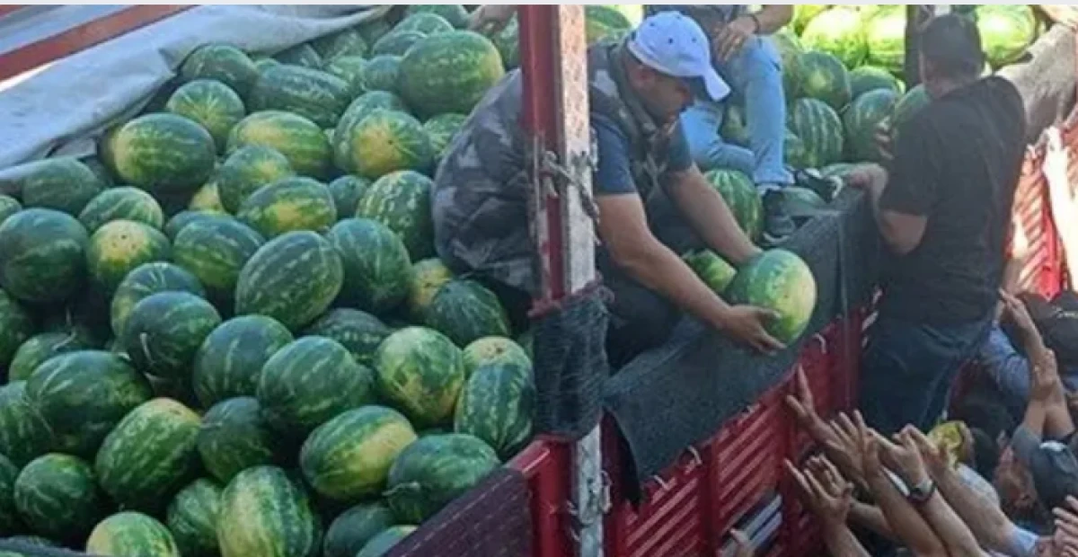 26 Tonluk TIR 45 Dakikada Tükendi