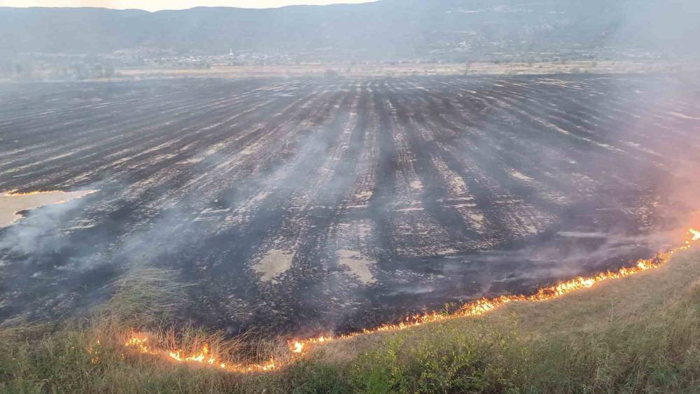 Tosya&rsquo;da &ouml;rt&uuml; yangını: 400 d&ouml;n&uuml;m tarım alanı zarar g&ouml;rd&uuml;