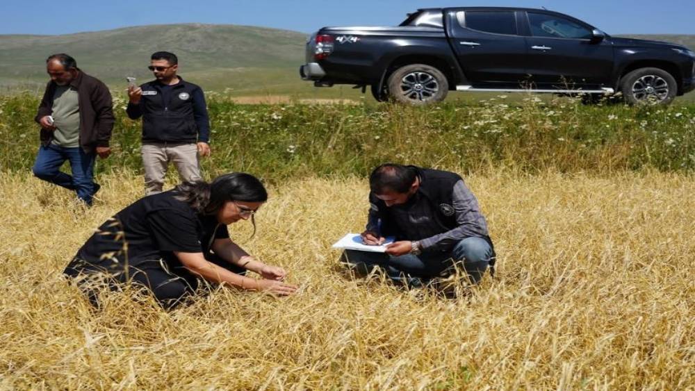 &Ccedil;ıldır&rsquo;da doludan etkilenen tarım arazilerinde hasar tespiti yapıldı