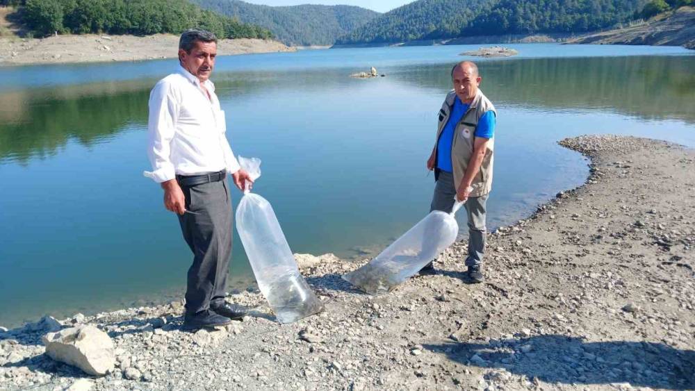 Orhaneli&rsquo;deki d&ouml;rt su kaynağına sazan yavruları bırakıldı