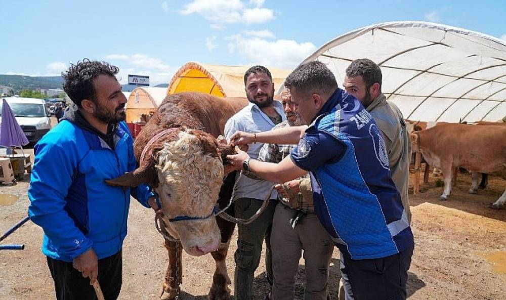 Gaziemir'de kurban satış yerlerinde sıkı denetim
