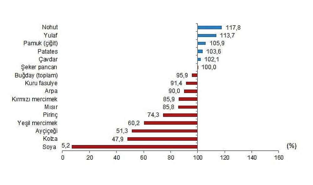 Tüik: Bitkisel ürünlerde en yüksek yeterlilik derecesi %683,5 ile fındıkta gerçekleşti