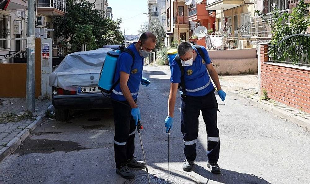 Buca'da Haşere ve Zararlılara Karşı İlaçlama Seferberliği