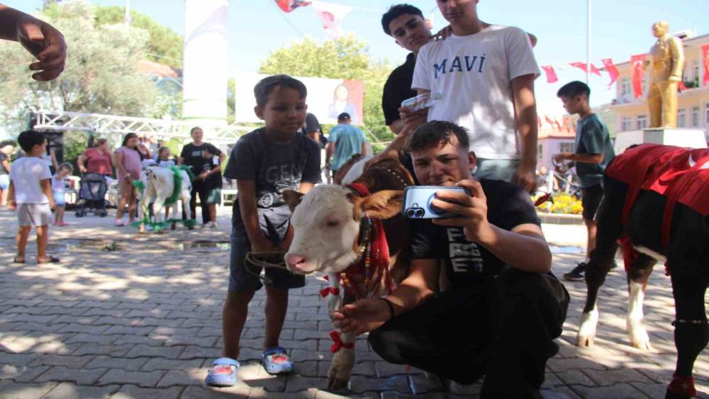 Yerkesik festivalinde buzağılar g&uuml;zellik yarışmasına &ccedil;ıktı