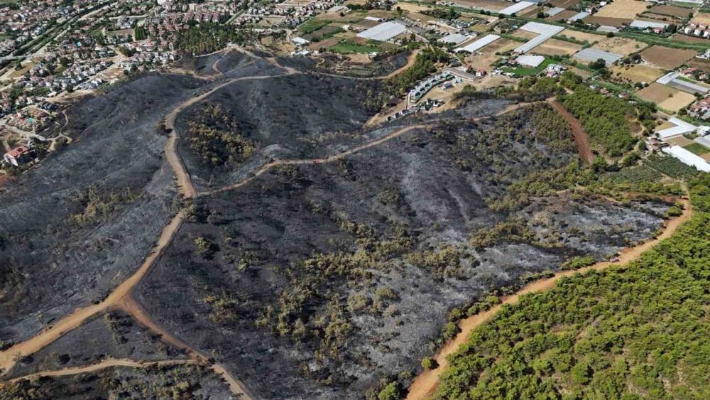 Fethiye&rsquo;de s&ouml;nd&uuml;r&uuml;len orman yangınının ardından hasar g&ouml;r&uuml;nt&uuml;lendi