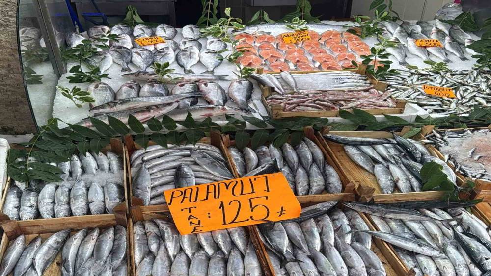 D&uuml;zce&rsquo;de palamutun tanesi 125 liradan satılıyor