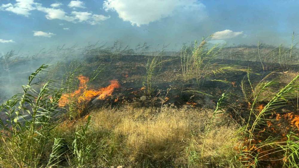 Silopi kırsalındaki &ouml;rt&uuml; ve orman yangını s&ouml;nd&uuml;r&uuml;ld&uuml;