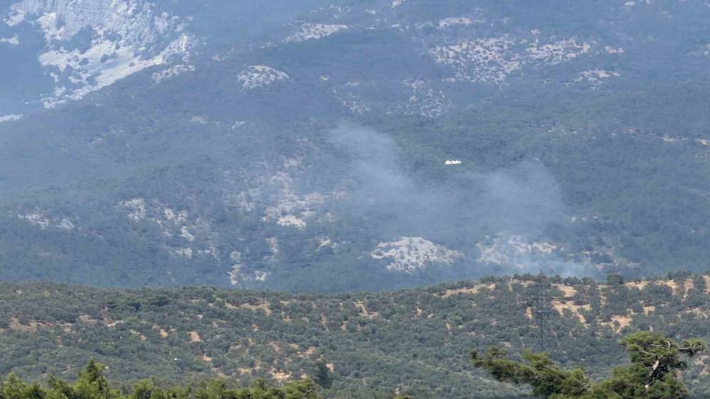 Kazdağı Milli Parkı&rsquo;na sı&ccedil;rayan yangına yoğun m&uuml;dahale