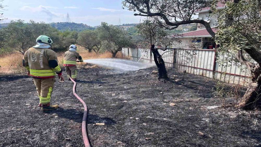 Defne&rsquo;de zeytinlik yangını b&uuml;y&uuml;meden s&ouml;nd&uuml;r&uuml;ld&uuml;