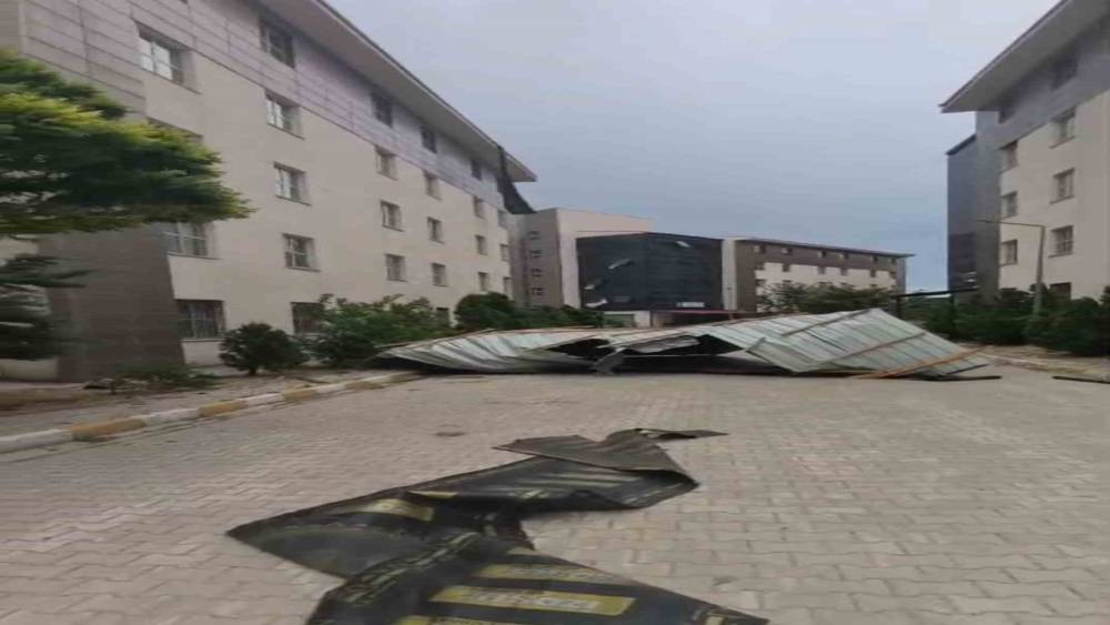Van&rsquo;da fırtına &ccedil;atıları u&ccedil;urdu, ağa&ccedil;ları devirdi