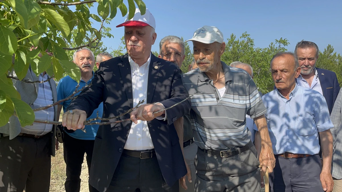 65 ilde yıkım yaratan zirai dondan sonra çiftçiye borç erteleme ve faizsiz kredi çağrısı