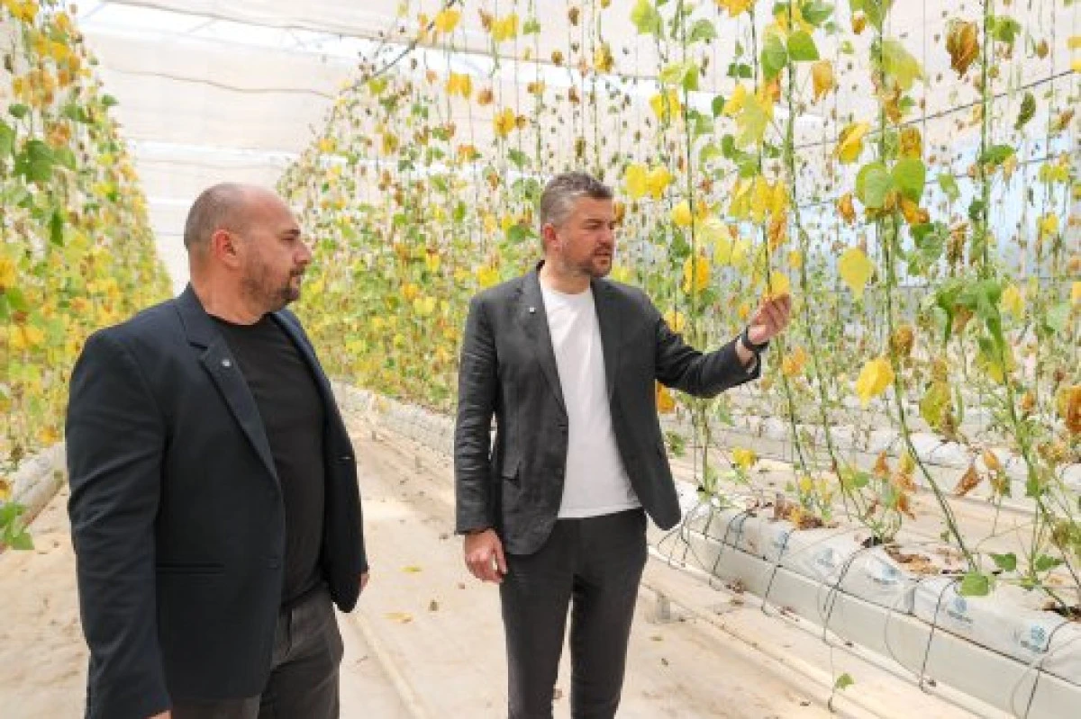 Başkan Duman: Bu olay, Bucalıların sofrasına yapılan hain bir saldırıdır!