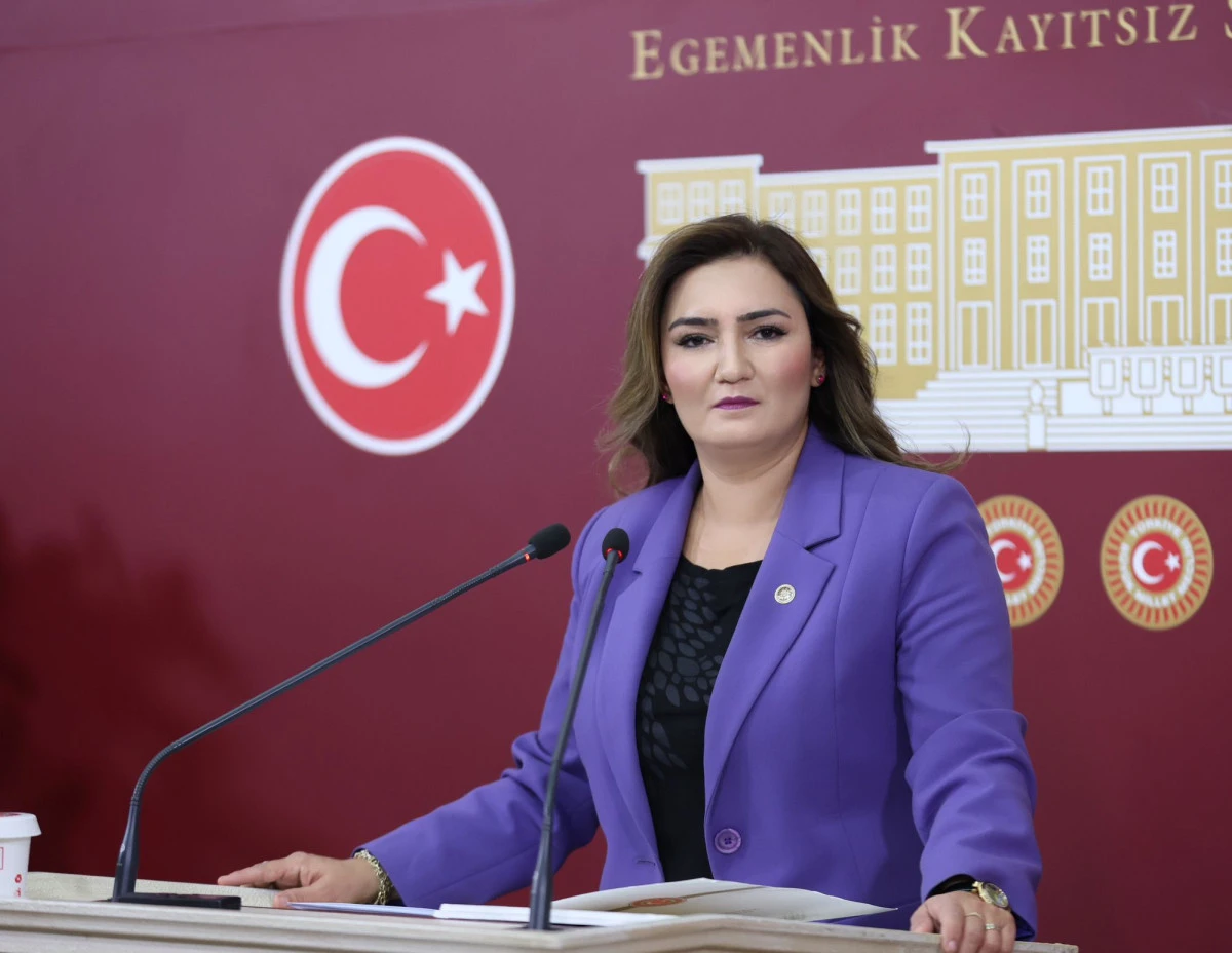 CHP İzmir Milletvekili Sevda Erdan Kılıç, 'sokak özgürlüğü' için kanun teklifi verdi
