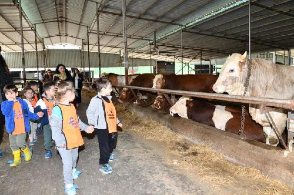 Çiğlili minikler hem eğlendiler hem de öğrendiler