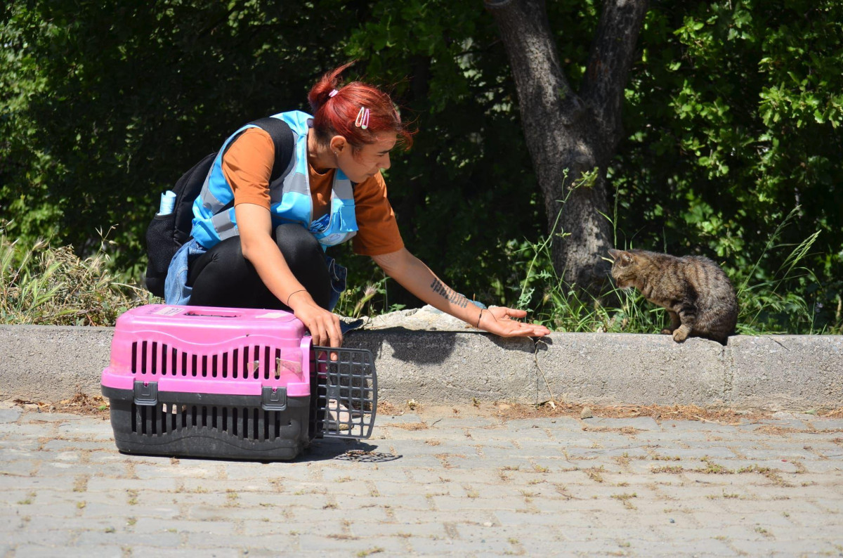 Elim Patinde” projesiyle Seferihisar’da sokak hayvanları sahipsiz değil