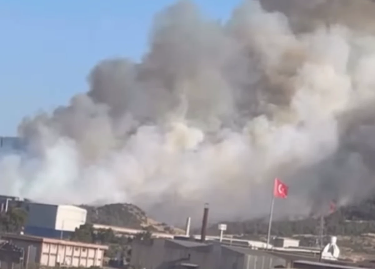 İzmir Aliağa’da Sanayi Tesisleri Yakınlarında Orman Yangını başladı