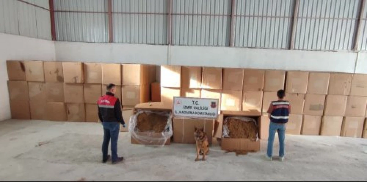 İzmir’de depoya tütün baskını: 6 ton kaçak ürün ele geçirildi!