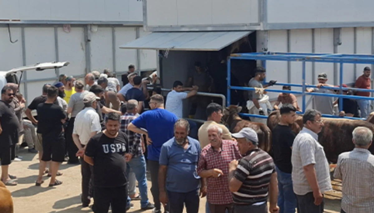 İzmir’de Güvenli Kurban Kesimi İçin Tüm Önlemler Alındı