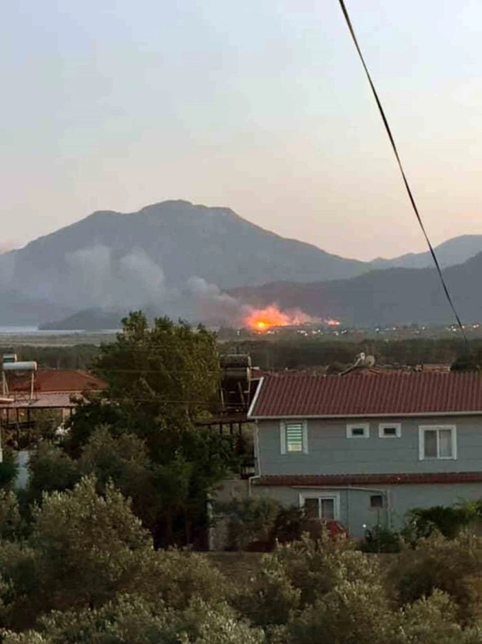 Köyceğiz’de sazlık alanda yangın!
