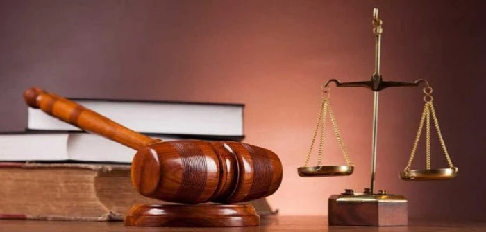Papara’ya Yasa Dışı Bahis Darbesi: 8 Şirkete El Konuldu, TMSF Kayyum Atandı!